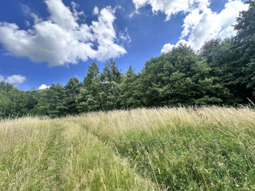 Działka Sprzedaż Rydzewo