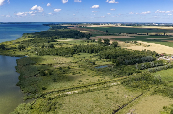 Działka Sprzedaż Wierzbno 5