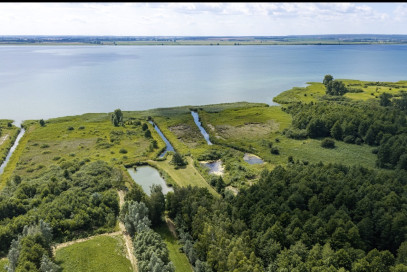 Działka Sprzedaż Wierzbno