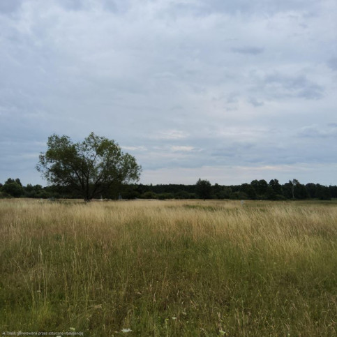 Działka Sprzedaż Buk 2
