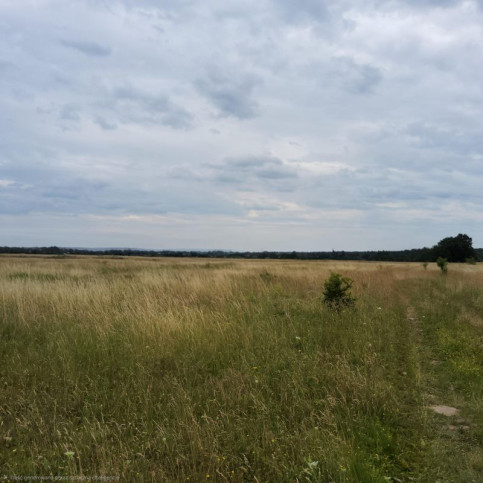 Działka Sprzedaż Buk 3