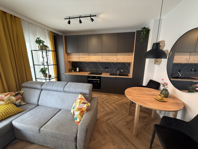 Mieszkanie Wynajem  Centrum Zielonego Mostu 11