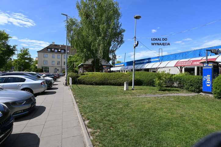 Lokal Wynajem  Pogodno 1
