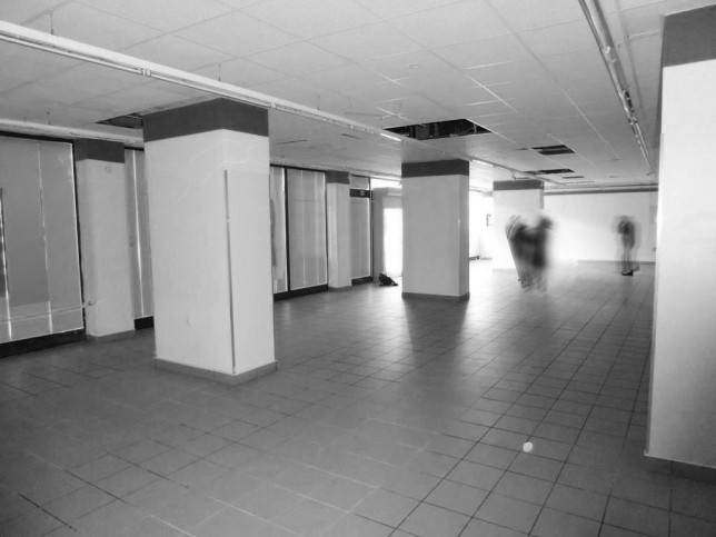 Lokal Wynajem  Centrum 1