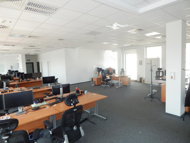Lokal Wynajem  Centrum 2