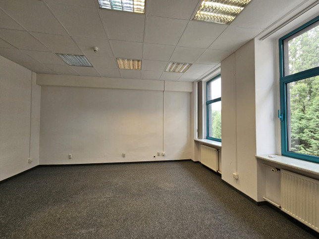 Lokal Wynajem  Centrum 15