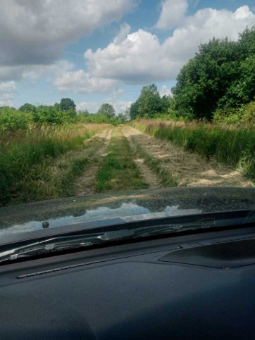 Działka Sprzedaż Stara Dąbrowa 12