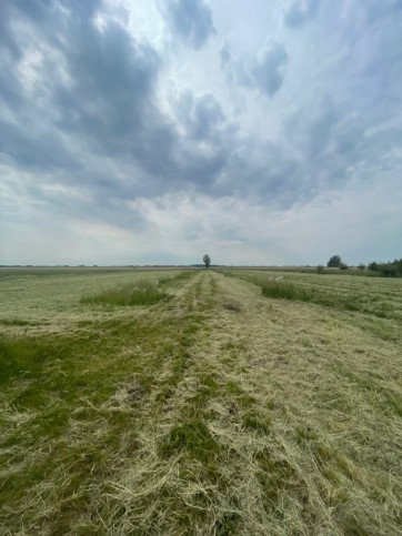 Działka Sprzedaż Wierzbno 10