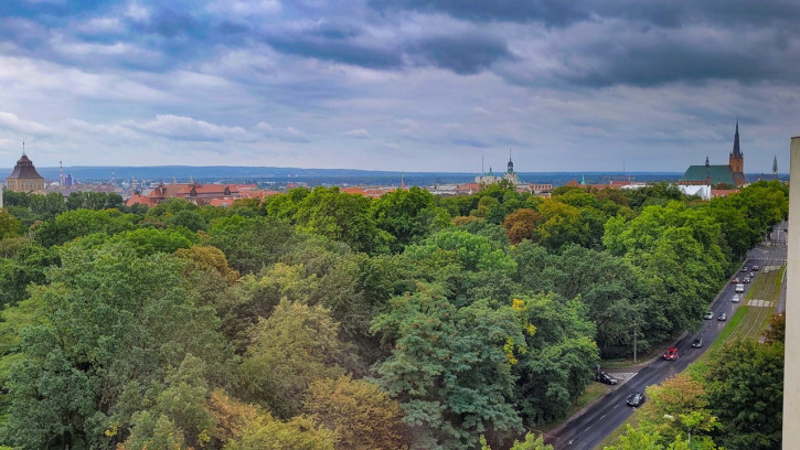 Mieszkanie Sprzedaż  Centrum Jana Matejki 5