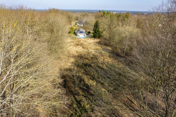 Działka Sprzedaż  Płonia 10