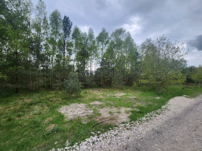 Działka Sprzedaż Tanowo Brzozowa 3