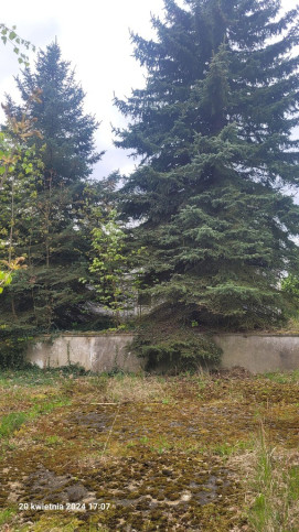 Obiekt Sprzedaż Recz Kolejowa 5